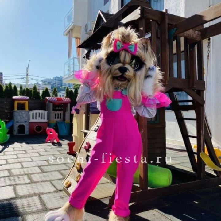Аниматор Гламурная Собака в Волгограде