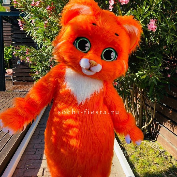 Аниматор Котик в Волгограде