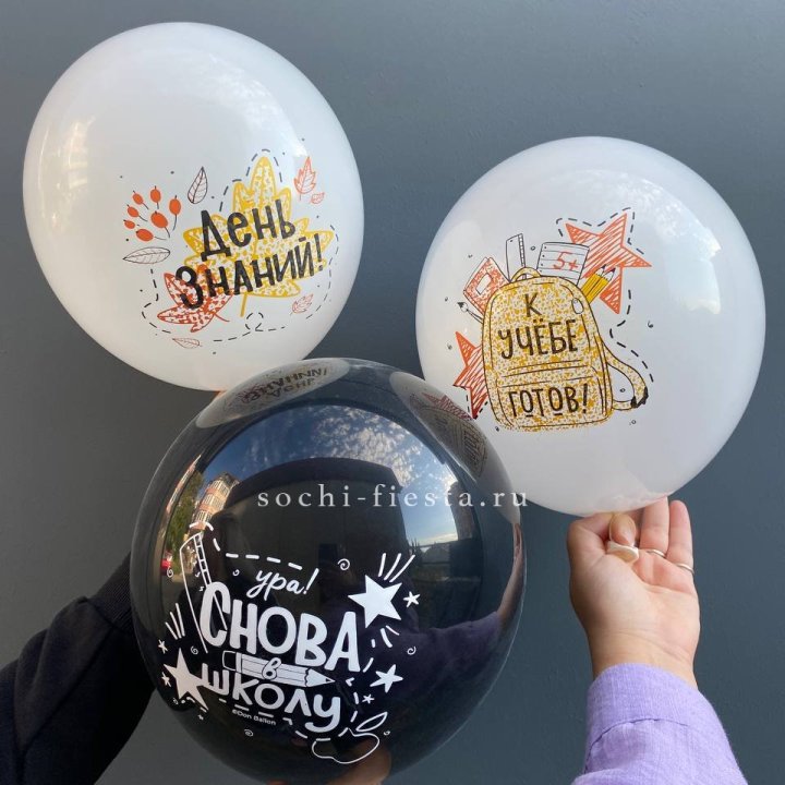 Воздушный шар к 1 сентября в Волгограде