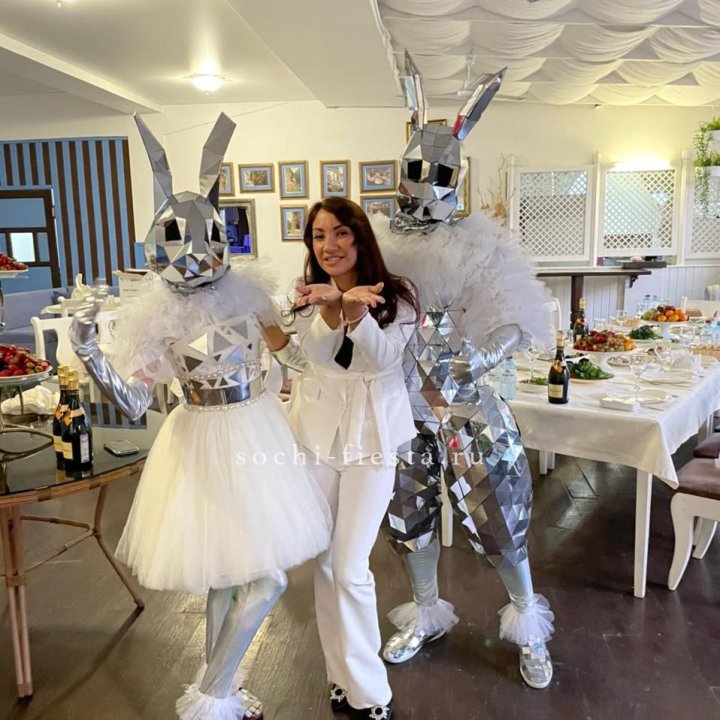 Аниматор Зеркальный заяц в Волгограде