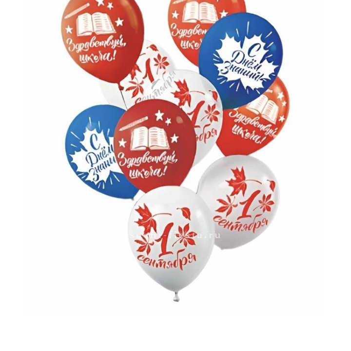 Воздушный шар на день знаний в Волгограде