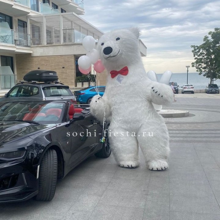 Аниматор Белый Медведь в Волгограде