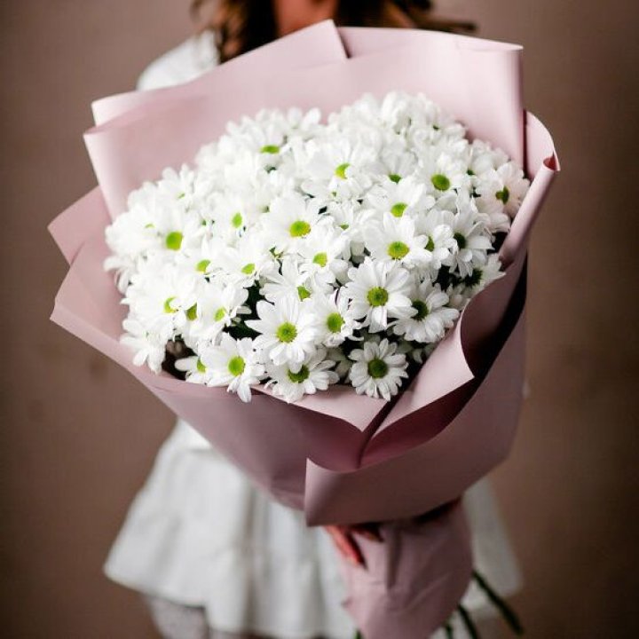 Букет хризантем №2 в Волгограде