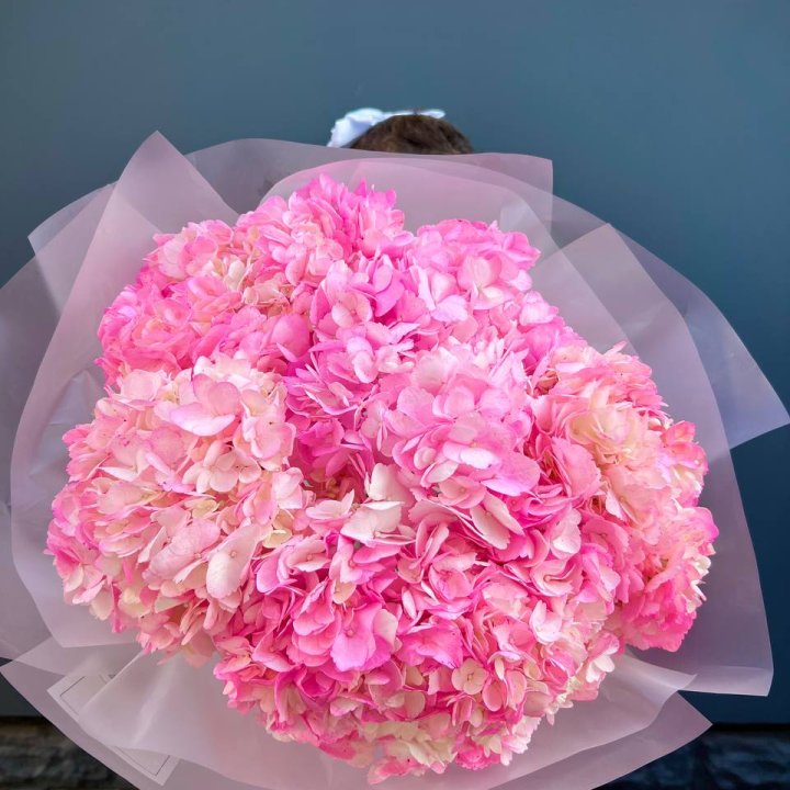 9 ярко розовых гортензий в Волгограде