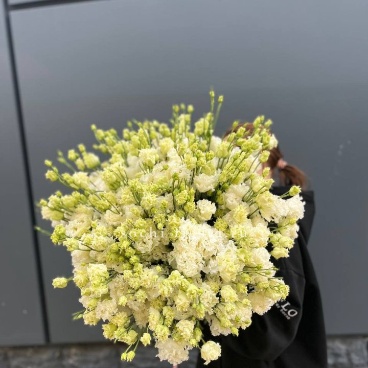 51 белая эустома в Волгограде