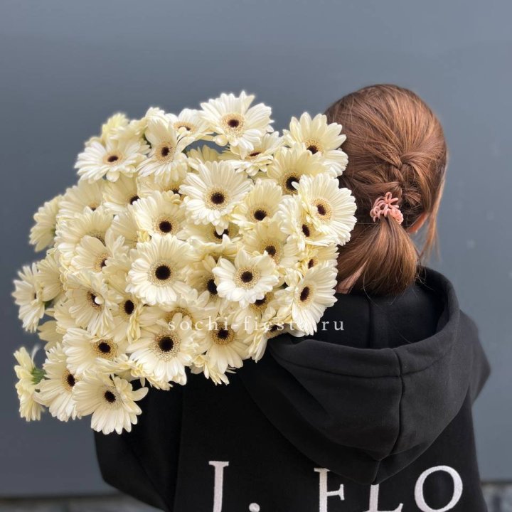 51 гербера в Волгограде