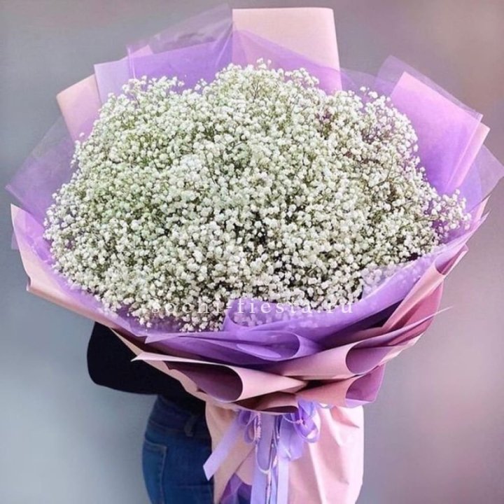 Облако белых гипсофил в Волгограде