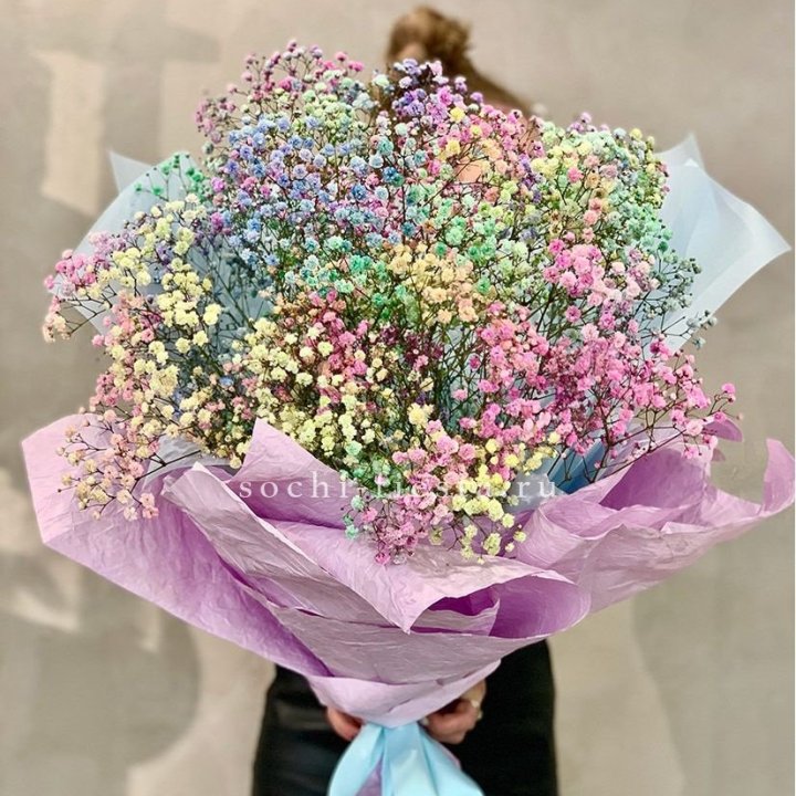 Радужные гипсофилы №2 в Волгограде