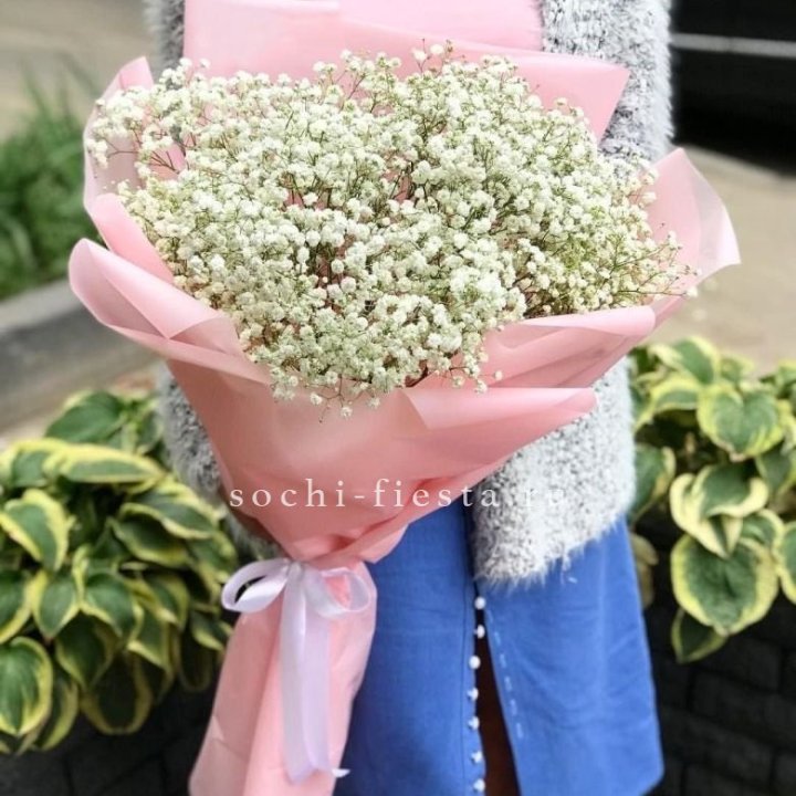 Белоснежные гипсофилы в Волгограде