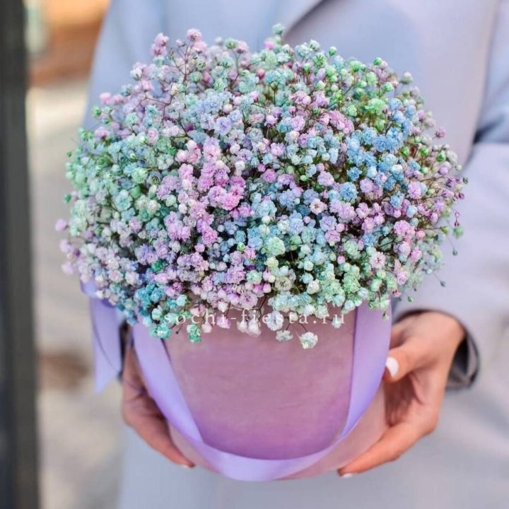 Гипсофилы в шляпной коробке "Кандилайт" в Волгограде