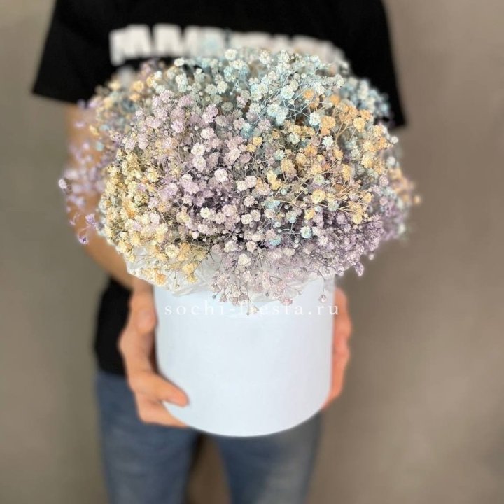 9 Радужных гипсофил в шляпной коробке в Волгограде