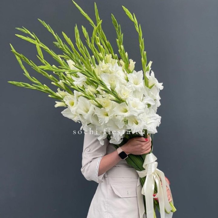 19 белых гладиолусов под ленту в Волгограде