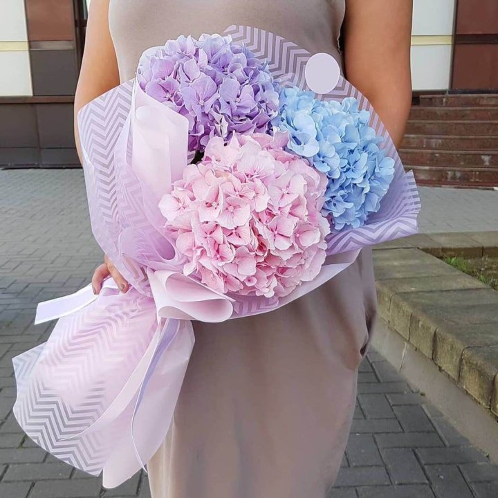 Букет гортензий "Пуф" в Волгограде