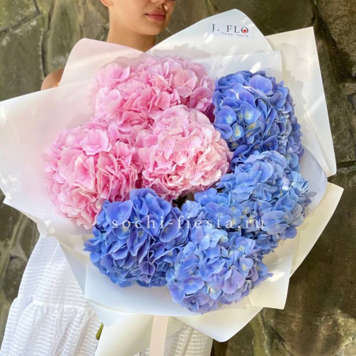 Букет гортензий №1 в Волгограде