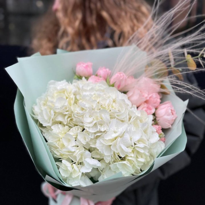 Гортензия "Жасмин" в Волгограде