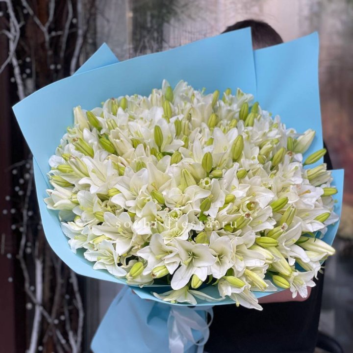 51 лилия в оформлении в Волгограде