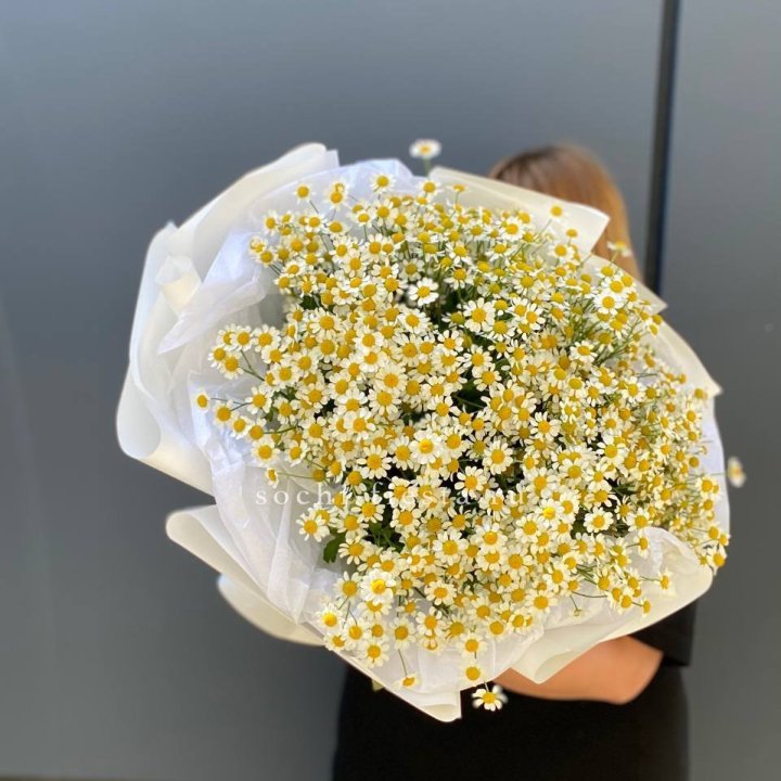Букет ромашек "Фемели" в Волгограде
