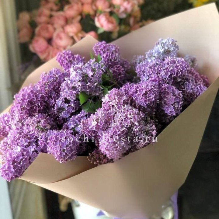 Букет сирени №2 в Волгограде