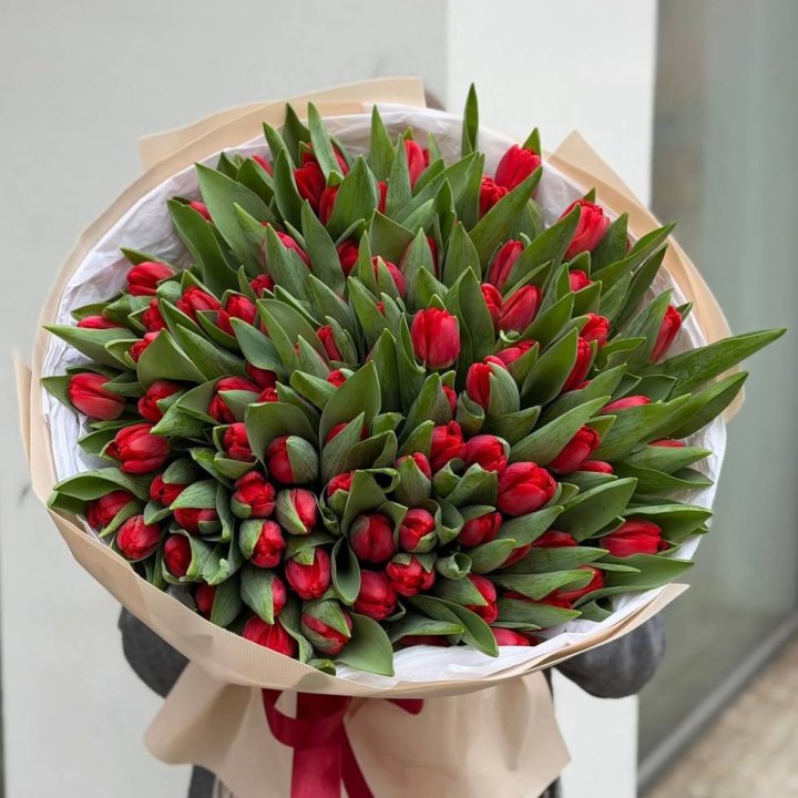 101 красный тюльпан в Волгограде