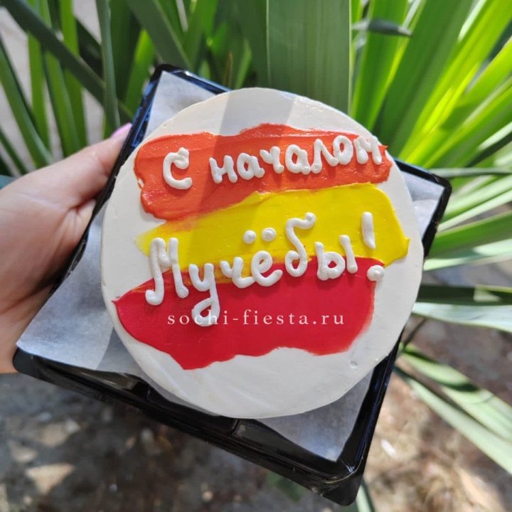 Бенто-торт "С началом учёбы"" в Волгограде