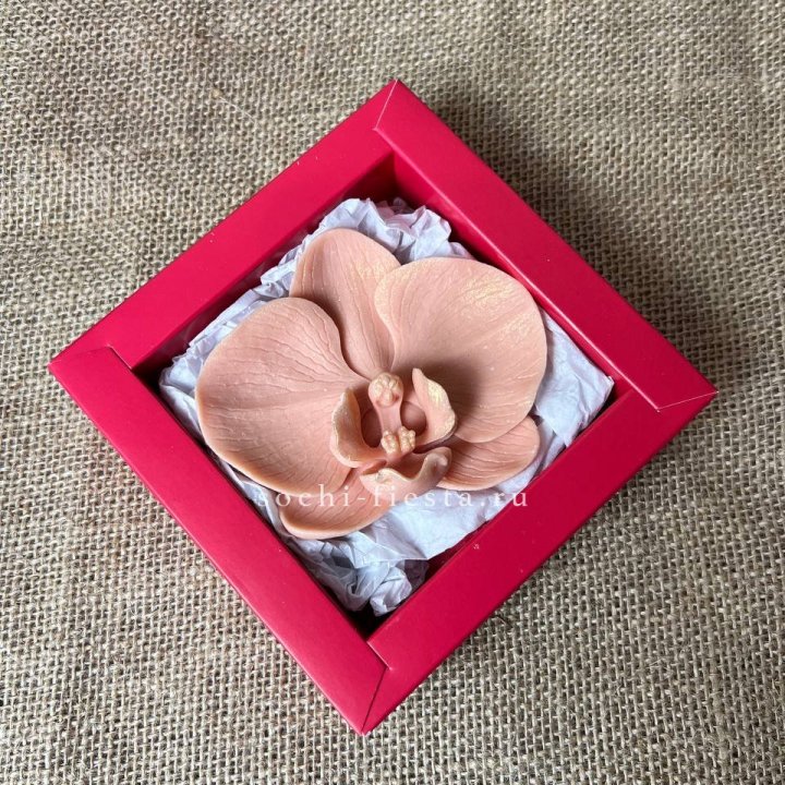 Бельгийский шоколад Орхидея в Волгограде