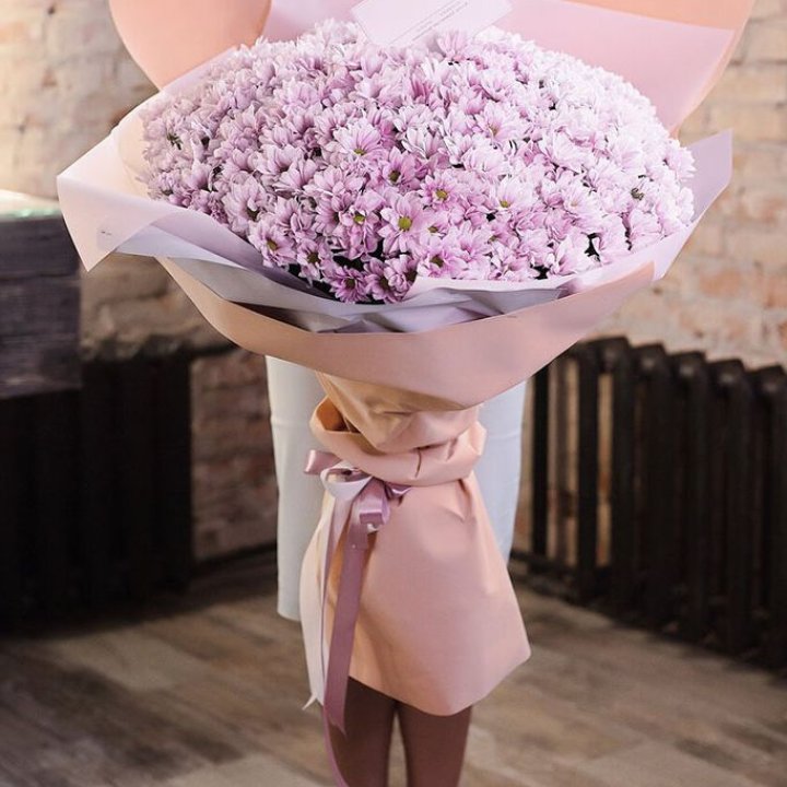 Облако хризантем №1 в Волгограде