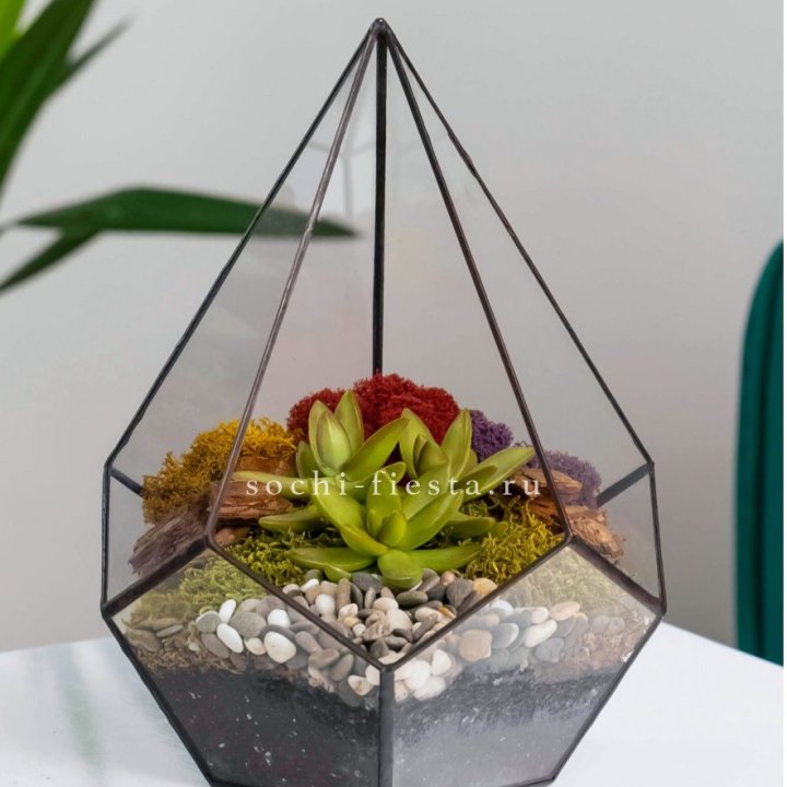 Флорариум Капля с суккулентом в Волгограде