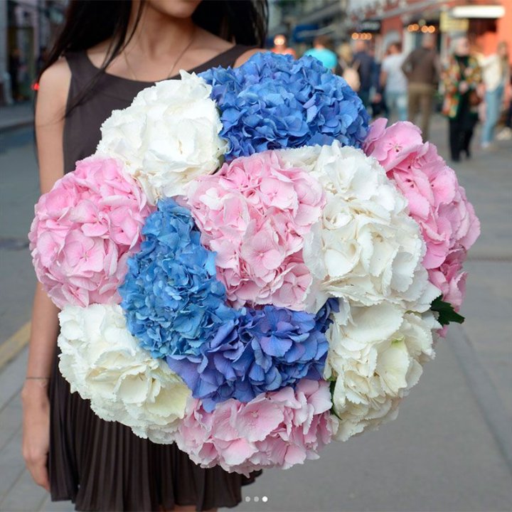 Букет гортензий "Инь-Янь" в Волгограде