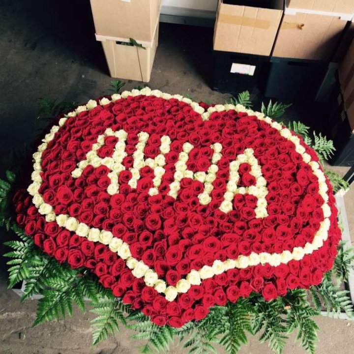 555 роз с именем в Волгограде