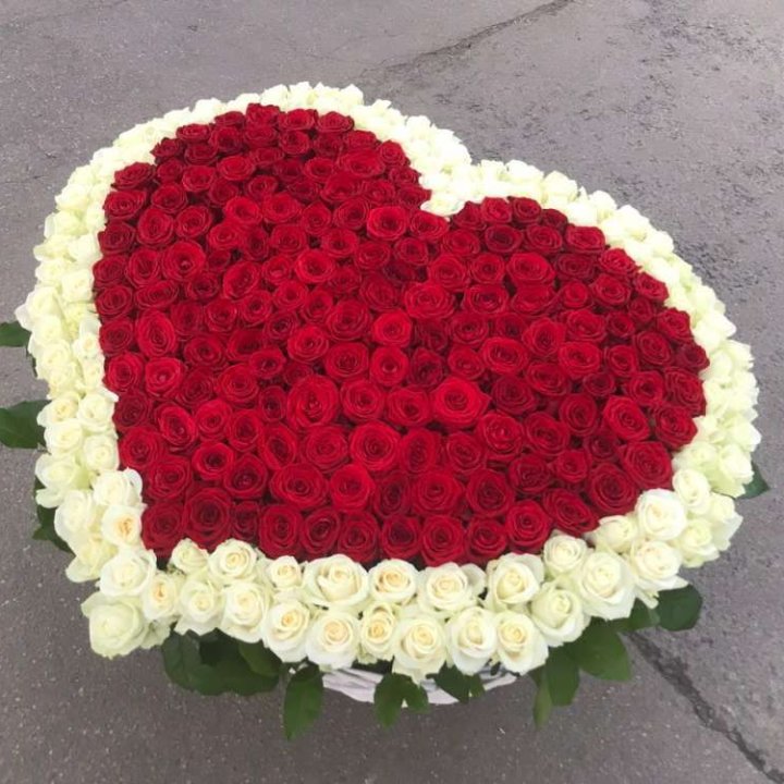 333 розы в корзине в Волгограде