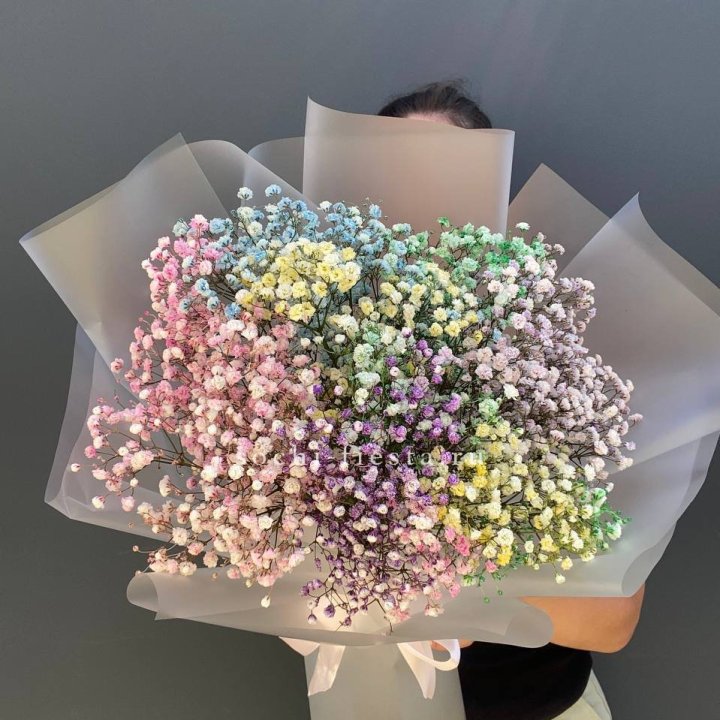 Радужные гипсофилы  в Волгограде