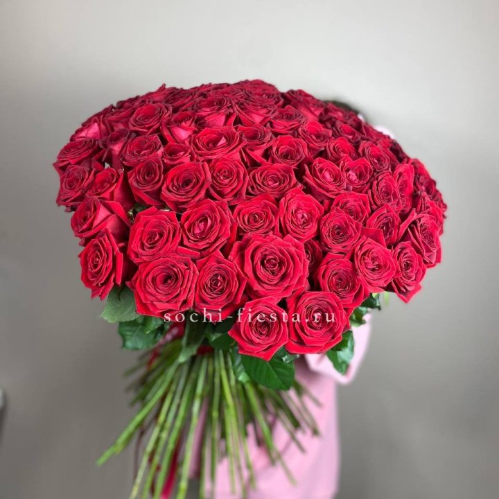 101  голландская роза  в Волгограде