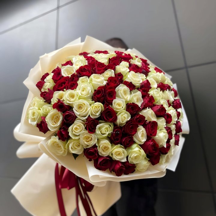 101 высокая импортная роза  в Волгограде