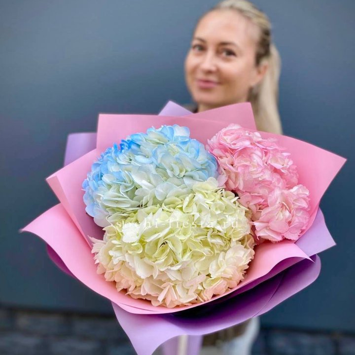 Букет гортензий "Тоника" в Волгограде