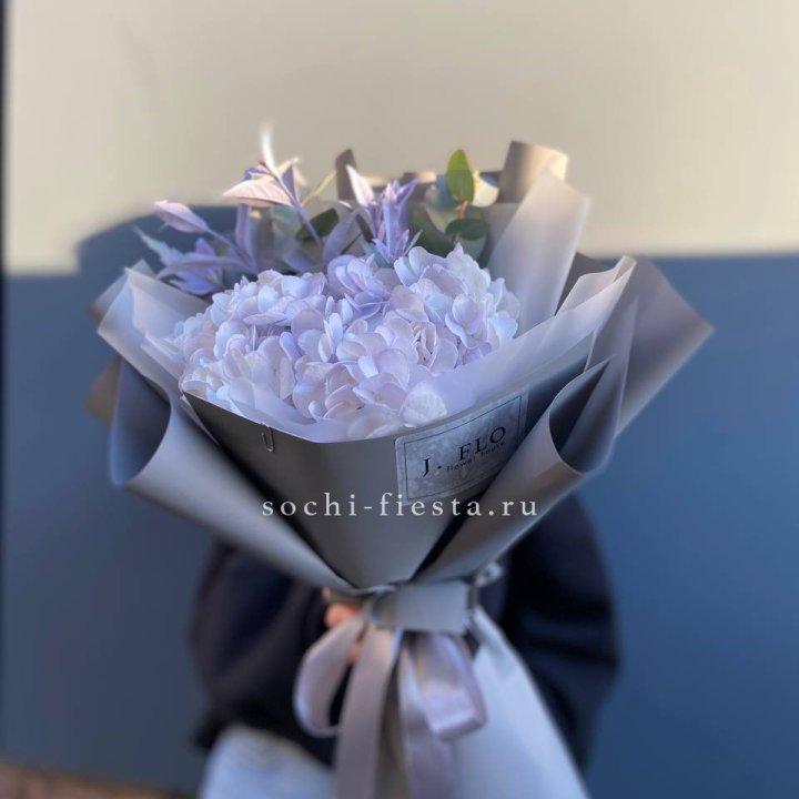 Гортензия "Виолета" в Волгограде