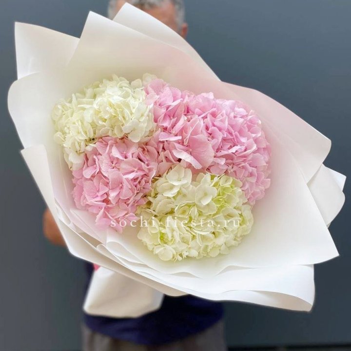 Букет гортензий №5 в Волгограде