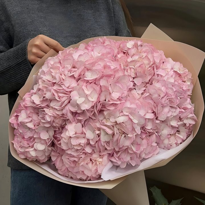 Гортензия  "РОЗЕ" в Волгограде