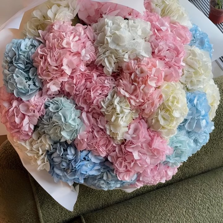 Букет гортензий микс в Волгограде