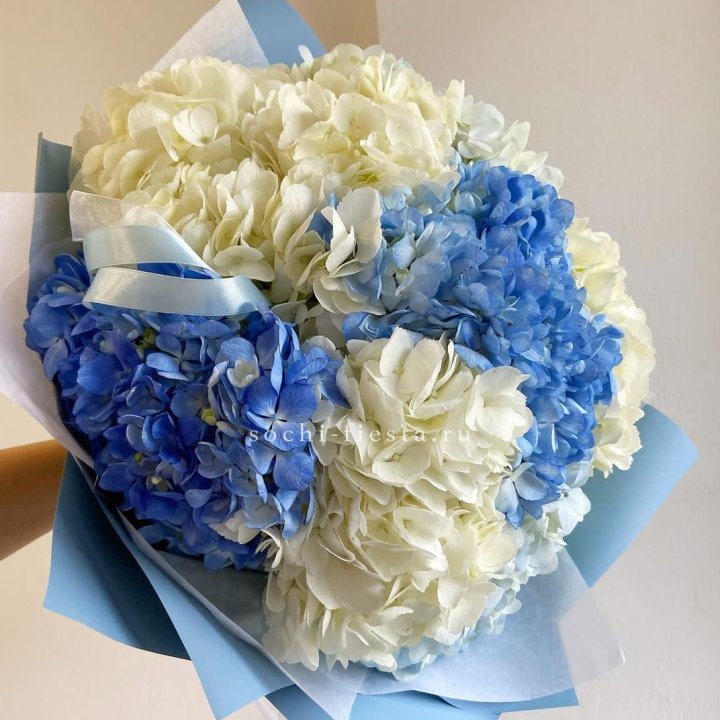 Букет гортензий "Голубая лаза" в Волгограде
