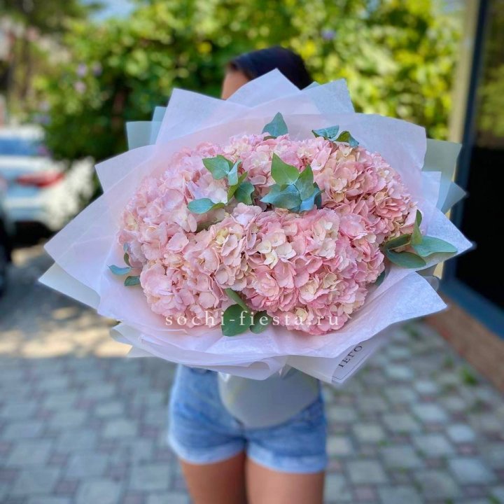 5 розовых гортензий  в Волгограде