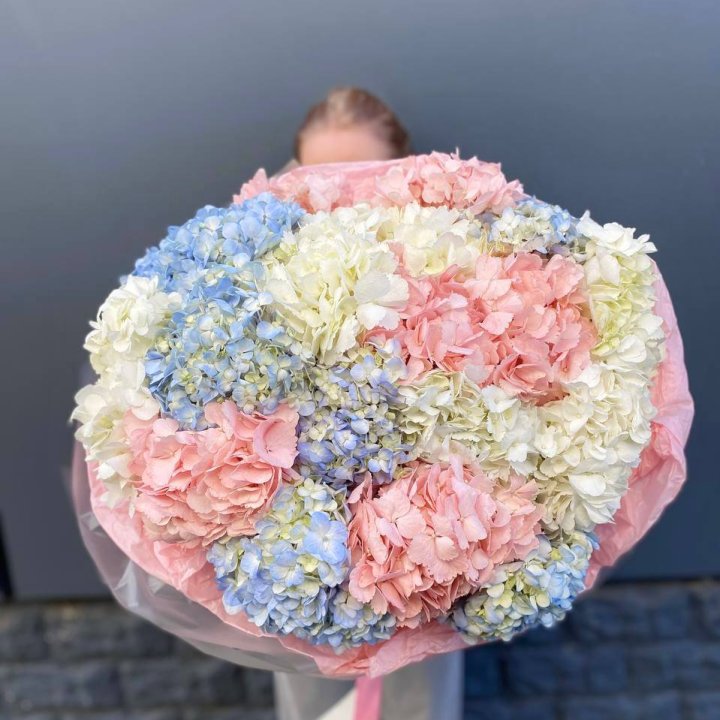 19 гортензий микс в Волгограде