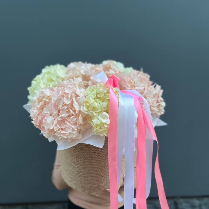 7 гортензий в кашпо в Волгограде