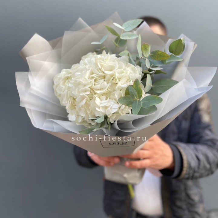  Букет  из белой гортензии в Волгограде