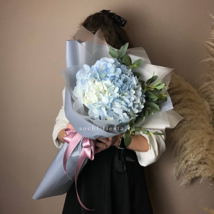 Гортензия Уно в Волгограде