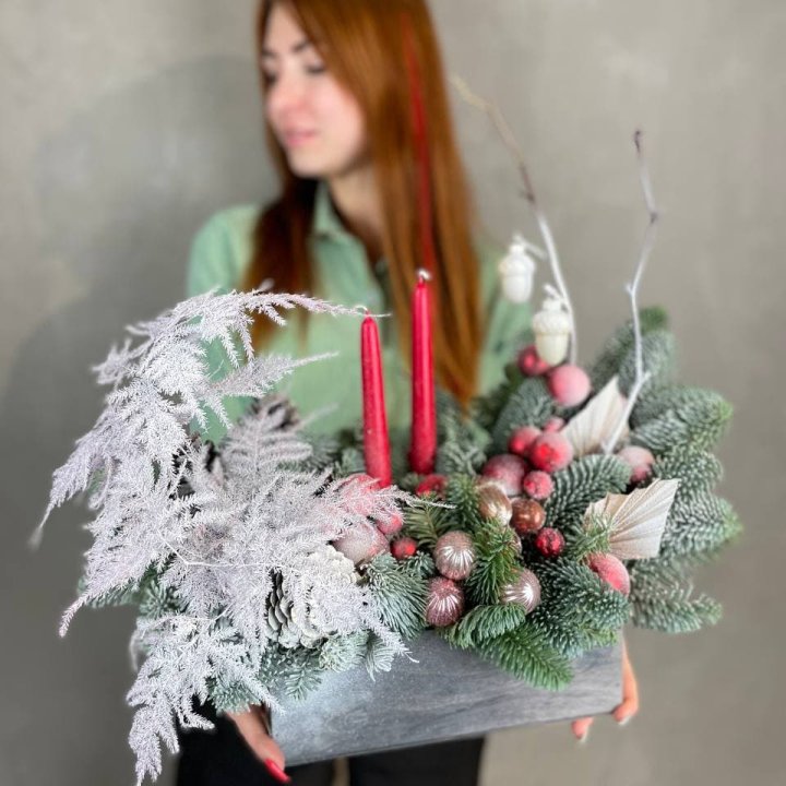 Бокс красный с нобилисом в Волгограде