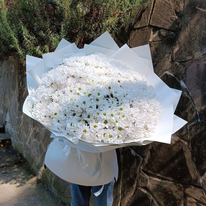 Облако хризантем №2 в Волгограде