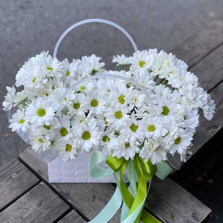 Сумка с хризантемами ромашками в Волгограде