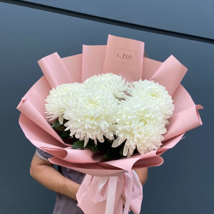 Профитроли №2 в Волгограде