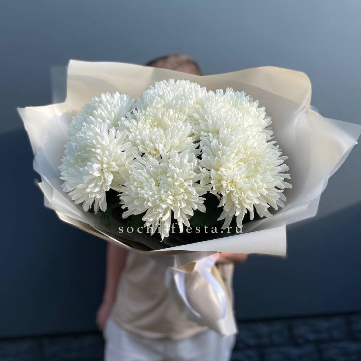 Профитроли в Волгограде