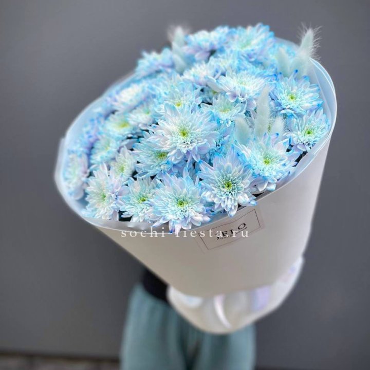  Букет нежно-голубых хризантем  в Волгограде